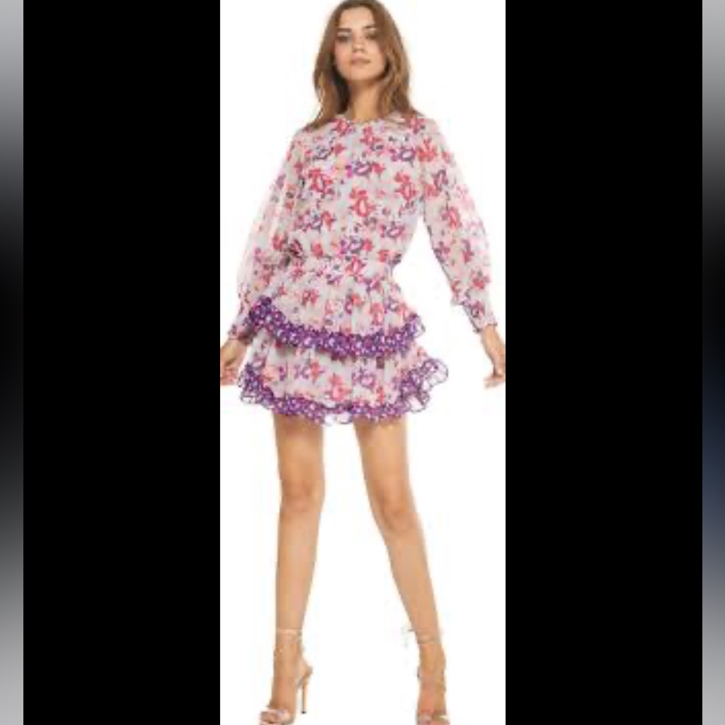Misa Los Angeles Camila Ruffle Mini Dress, Size S